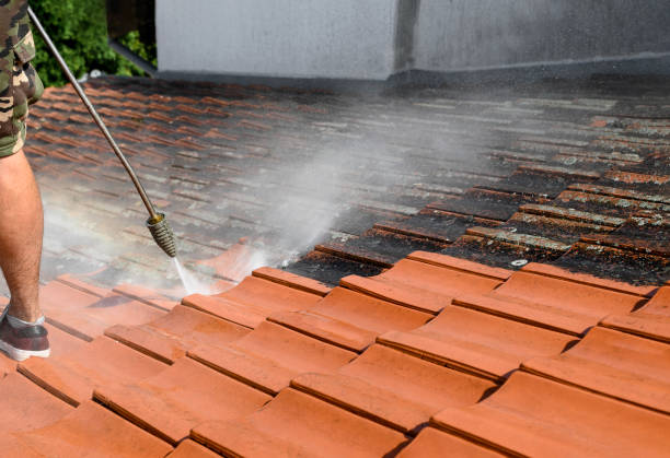 Best Commercial Pressure Washing  in Newton, IL