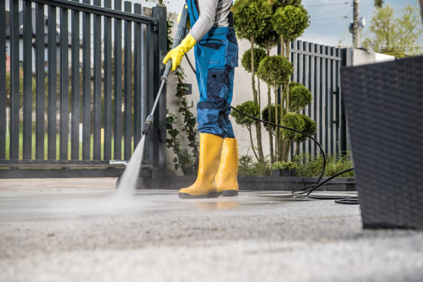 Best Sidewalk Pressure Washing  in Newton, IL