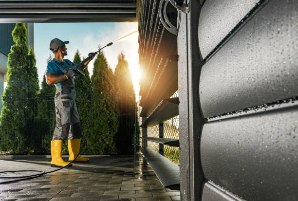 Best Roof Pressure Washing  in Newton, IL