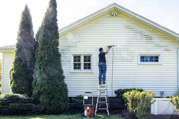 Best Residential Pressure Washing Services  in Newton, IL