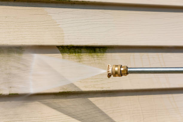 Best Pressure Washing Driveway  in Newton, IL