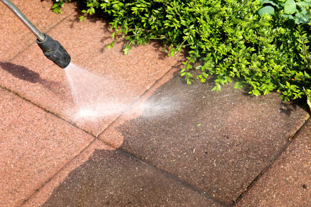 Best Deck Cleaning Services  in Newton, IL