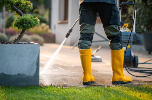 Best Best Pressure Washing Companies  in Newton, IL